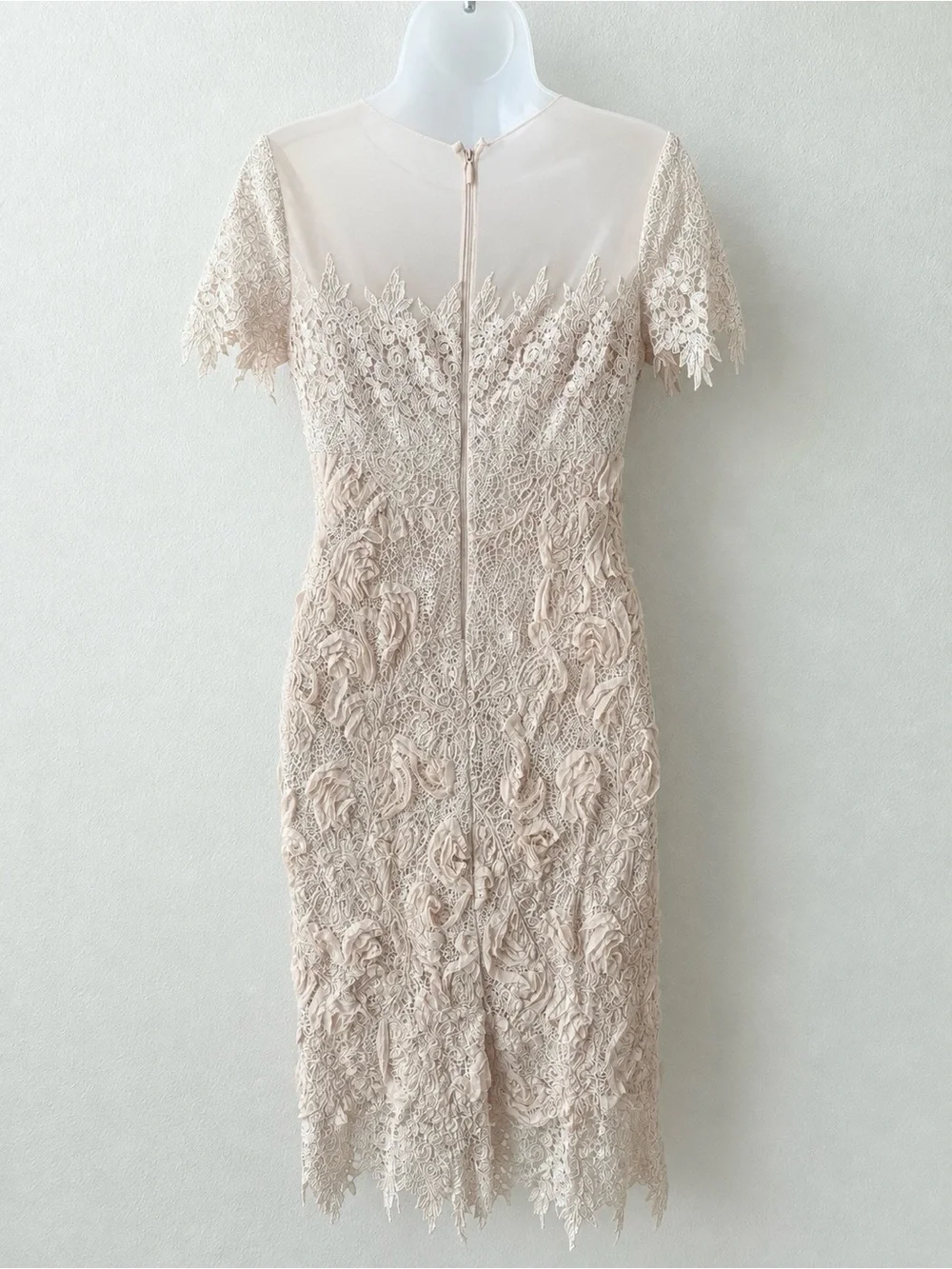 Rickie Freeman Teri Jon Blush Pink 3D Floral Lace Cocktail Dress Size 2